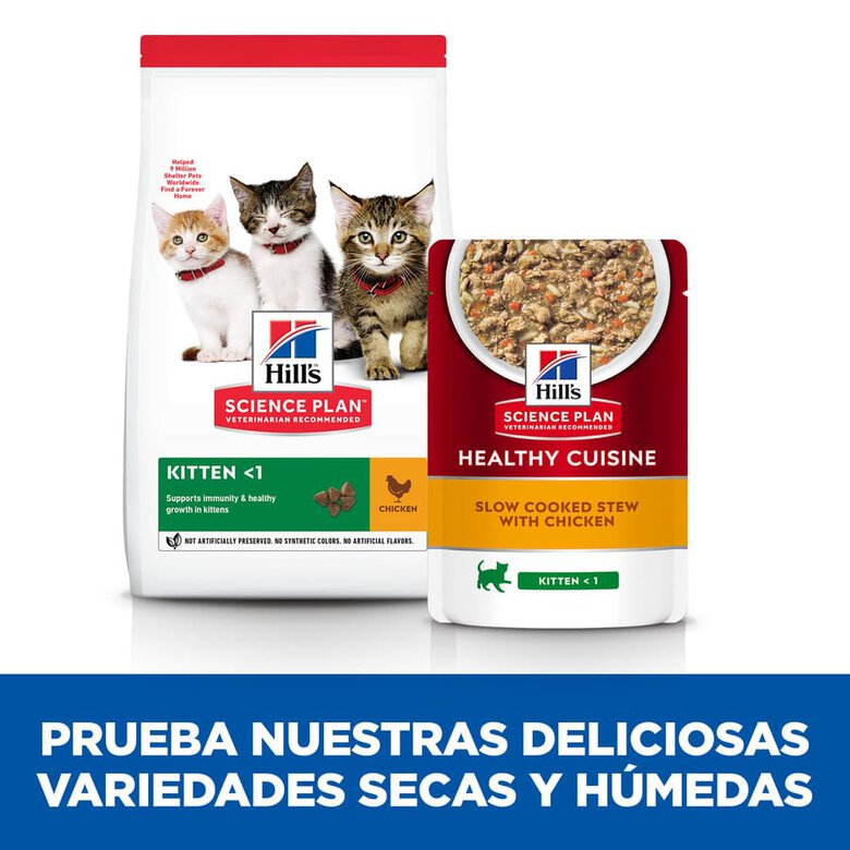 Hill’s Science Plan Kitten Healthy Cuisine Estofado de Pollo y Verduras Sobre, , large image number null